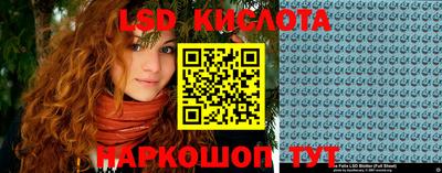 винт Краснодар