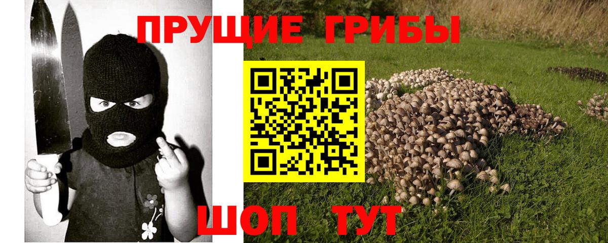Галлюциногенные грибы Magic Shrooms Камень-на-Оби