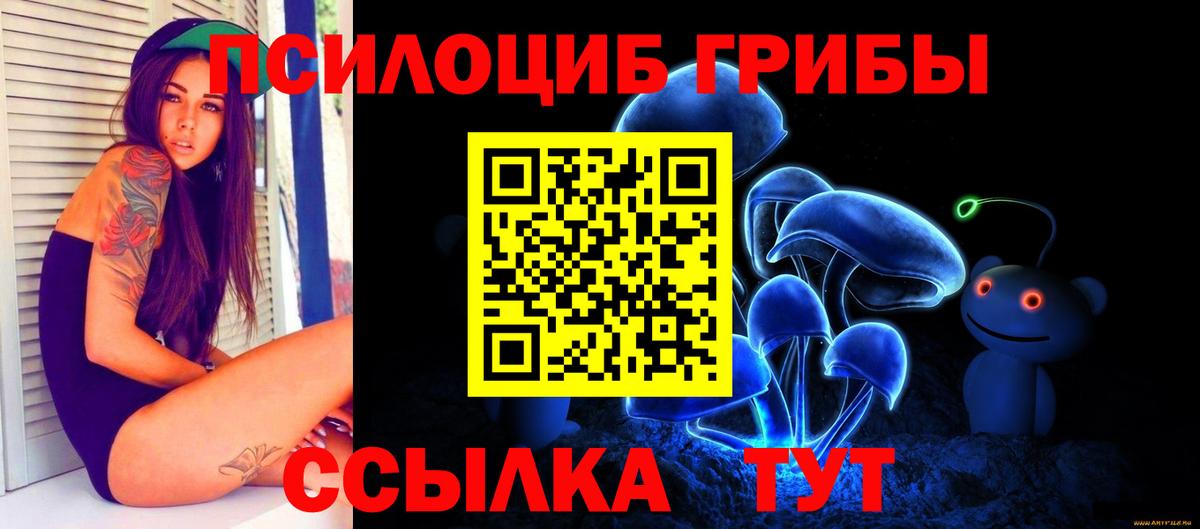 Галлюциногенные грибы GOLDEN TEACHER  Вход с VPN  Камень-на-Оби  Галлюциногенные грибы мухоморы 